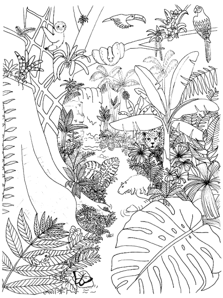 Тропические растения Графика