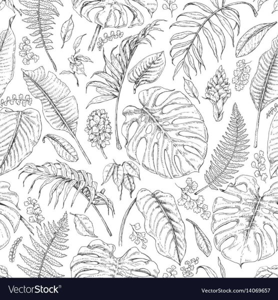 Тропические листья паттерн чб