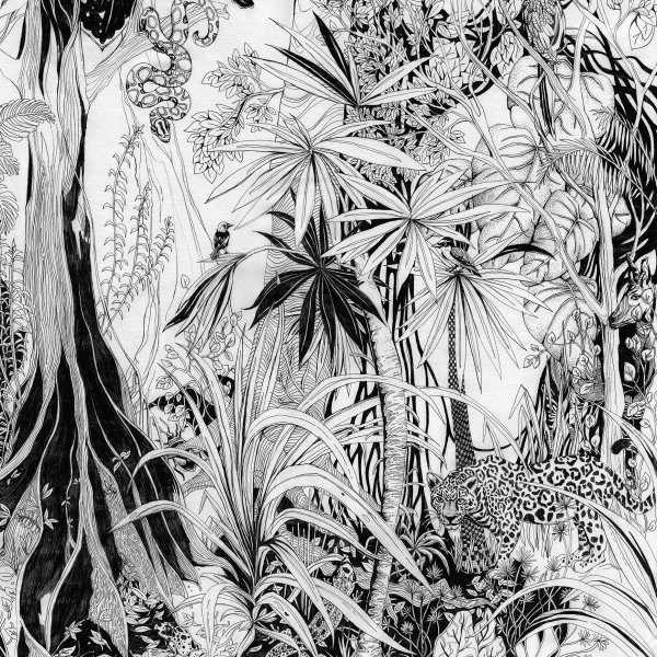 Тропики Графика