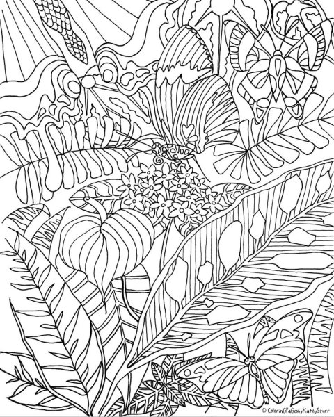 Раскраска антистресс тропики