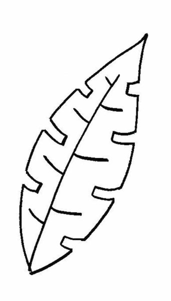 Тропические листья трафарет