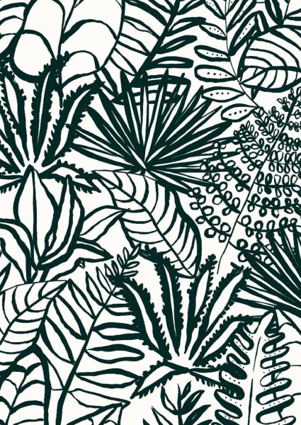 Тропические растения Графика