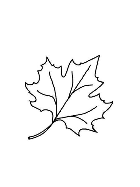 Кленовый лист раскраска