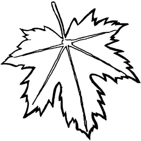 Кленовый лист 20х20