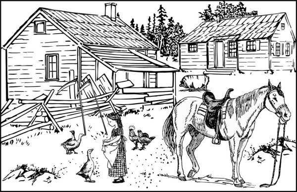 Раскраски деревенское подворье