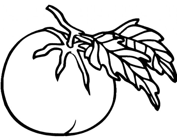Раскраска овощи помидор