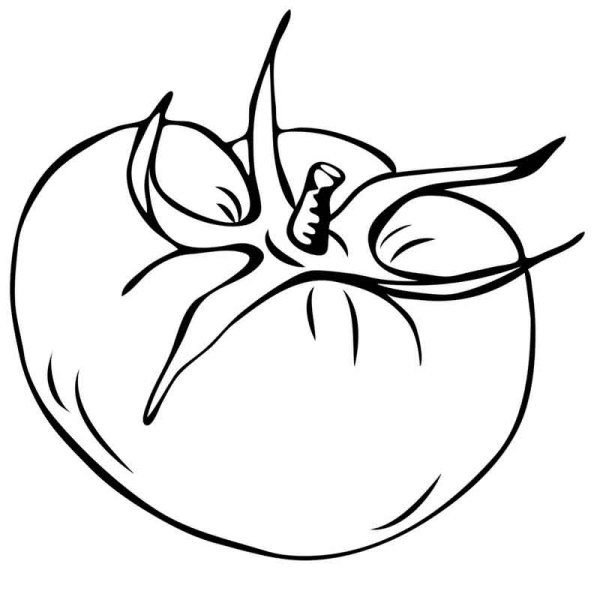 Помидор раскраска