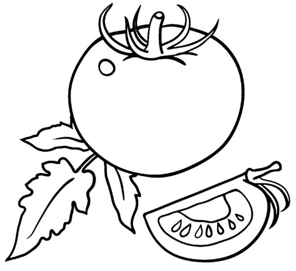 Рисунки для срисовки помидор