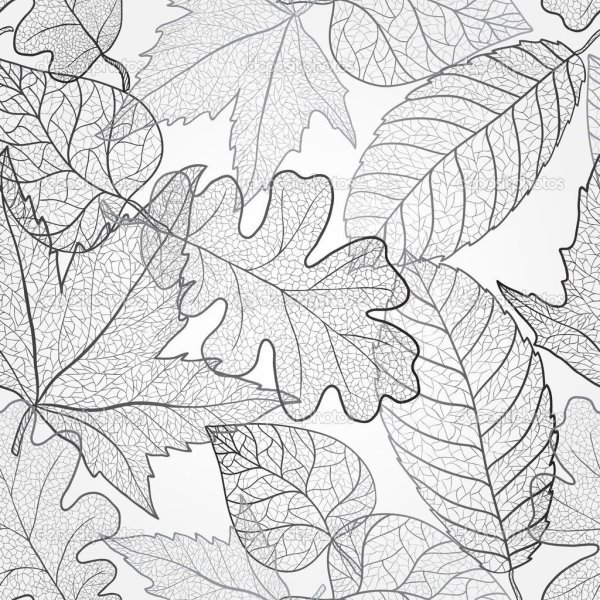 Узор осенние листья черно белое