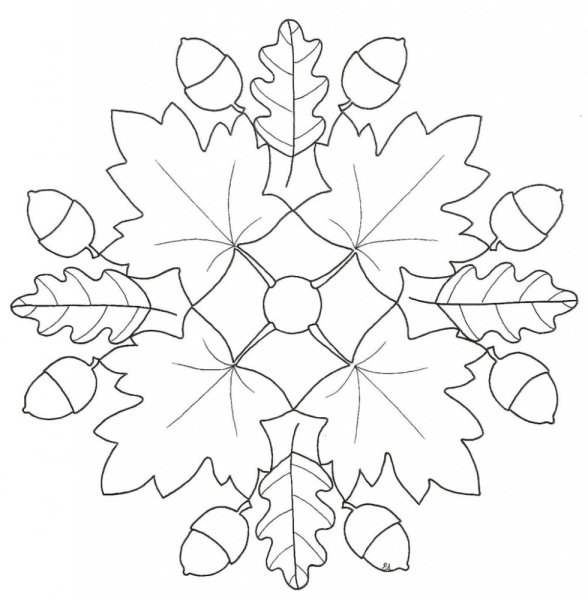 Осенний букет раскраска