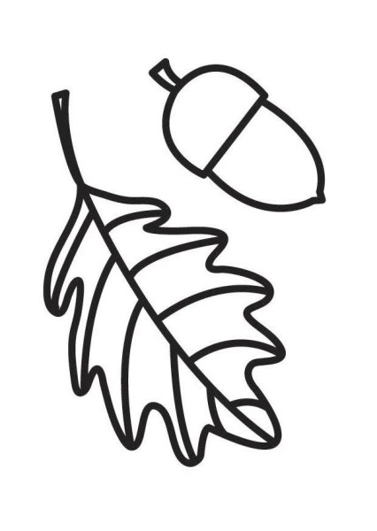 Желуди листья печать