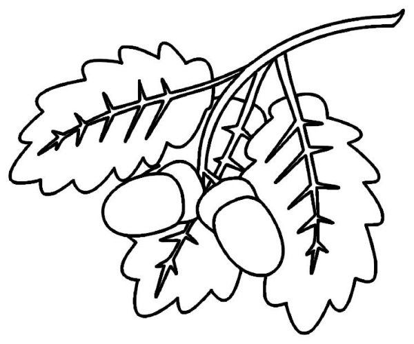 Лист дуба раскраска для детей