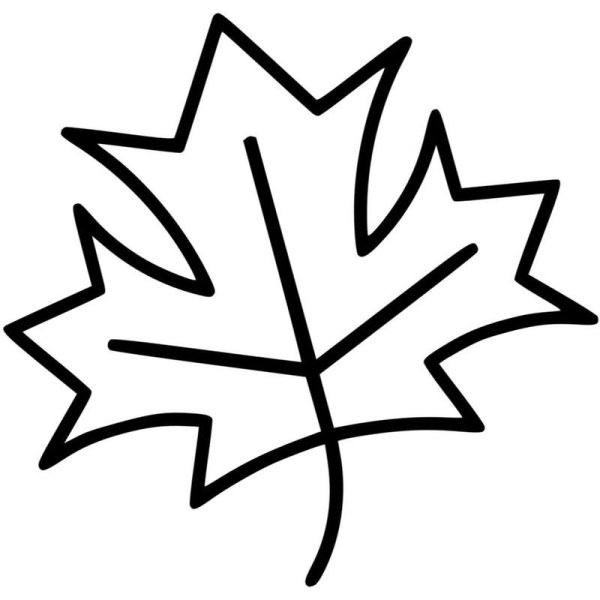 Лист клена раскраска для детей