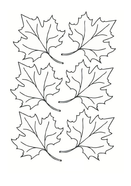 Трафареты кленовых листьев
