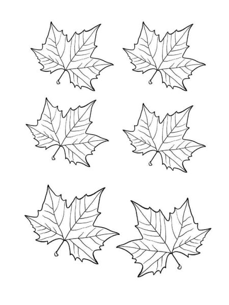 Кленовый лист раскраска