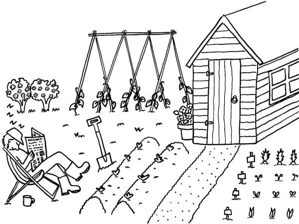 Огород раскраска для детей