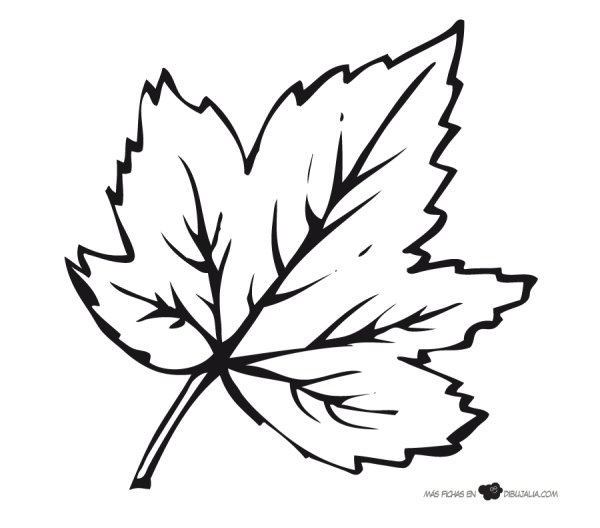 Лист клена раскраска