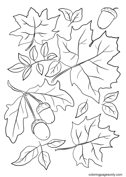 Осенняя раскраска