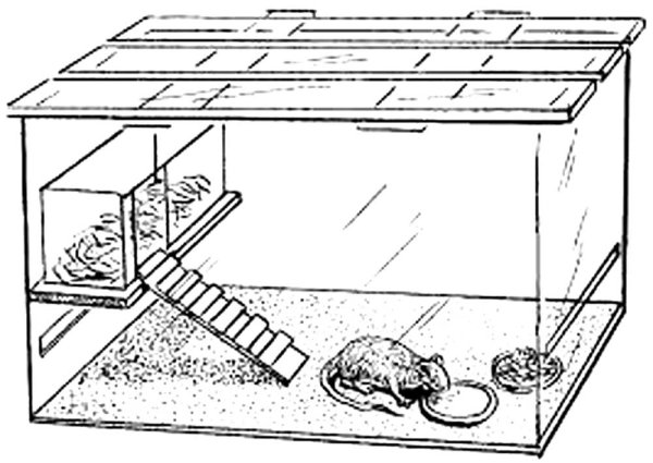 Домик для хомячка раскраска