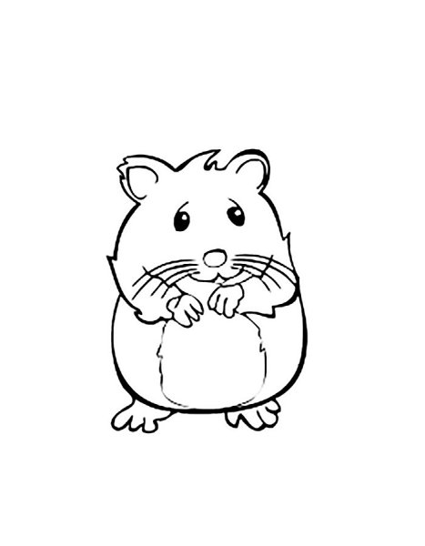 Раскраска хомяка джунгарика