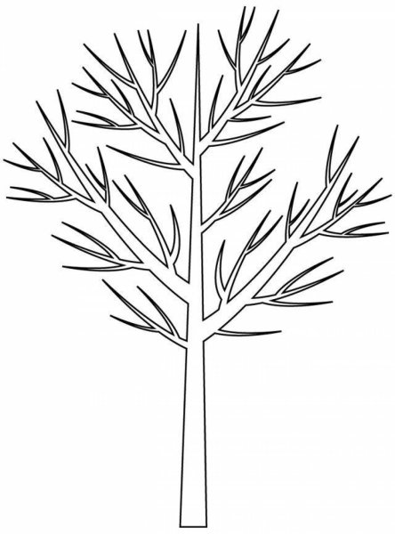 Дерево для раскрашивания без листьев