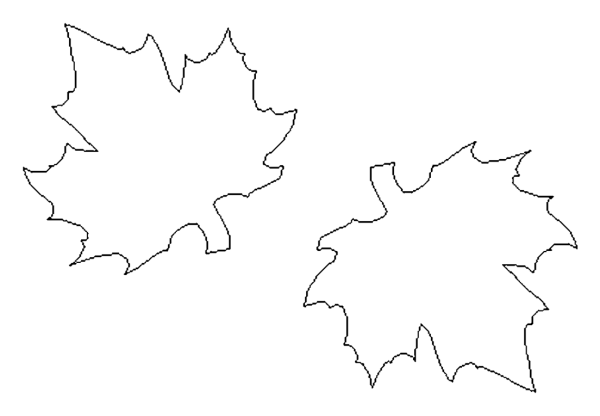 Шаблоны кленовых листьев