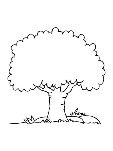 Силуэт дерева раскраска для детей