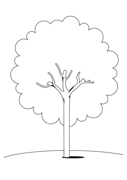 Дерево раскраска