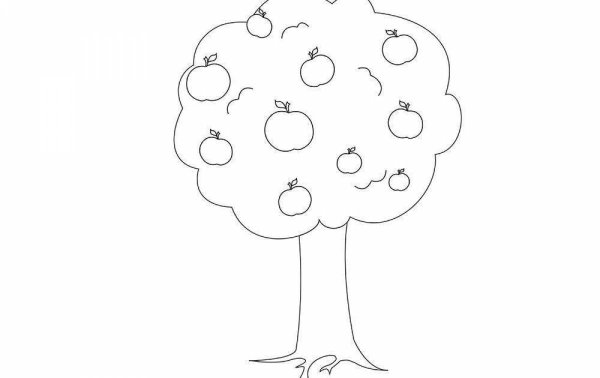Раскраска яблоня с яблоками