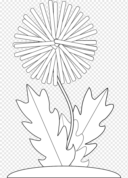 Одуванчик раскраска для детей