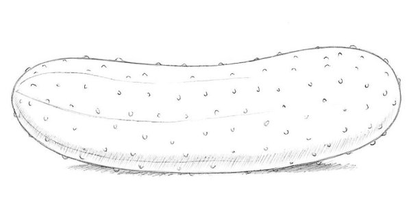 Огурец карандашом