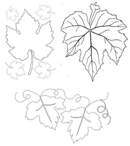 Лист винограда шаблон