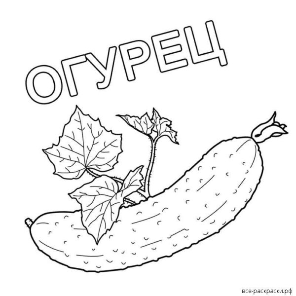 Огурец раскраска