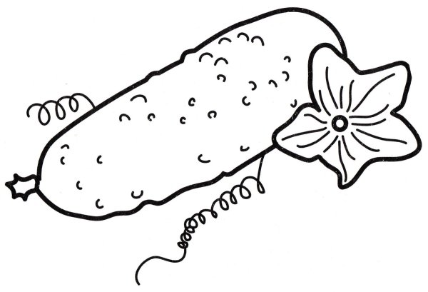 Огурец раскраска