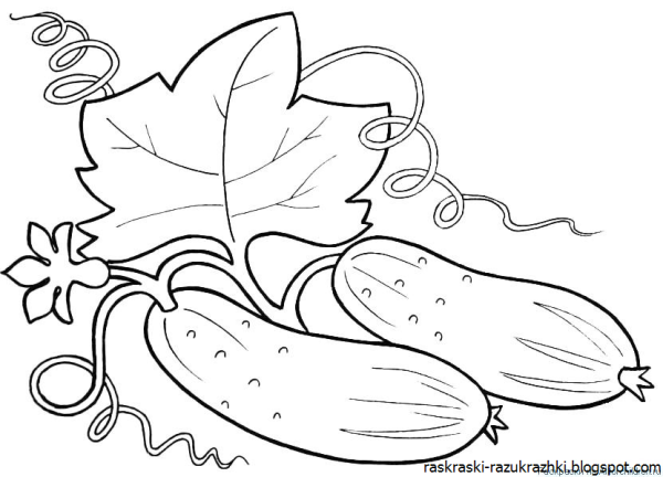 Огурец раскраска для детей