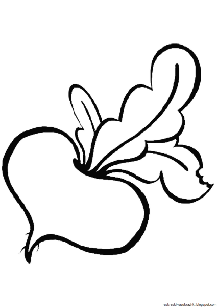 Раскраска Репка овощ для малышей