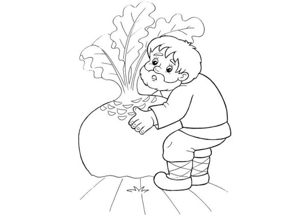 Раскраска. Репка