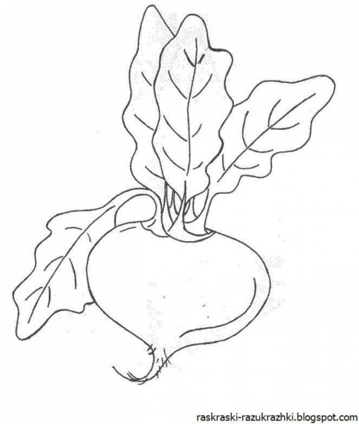 Раскраска. Репка