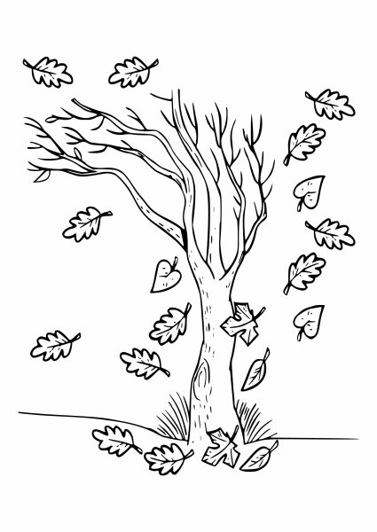 Осень раскраска для детей