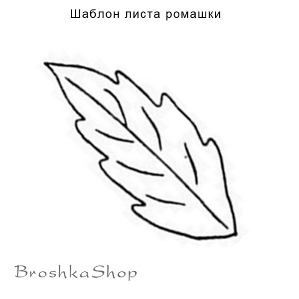 Лист ромашки трафарет