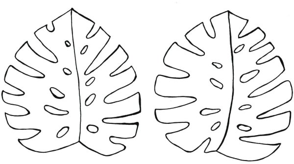 Тропические листья трафарет