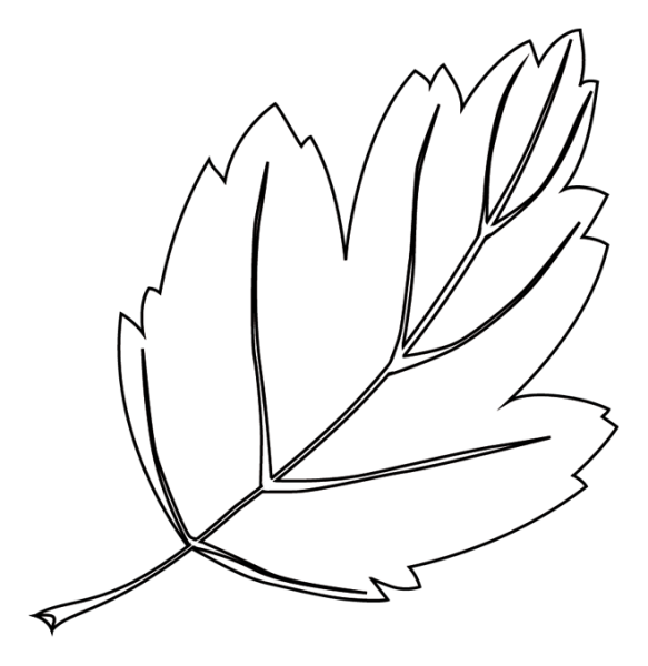 Трафарет листочки для цветов
