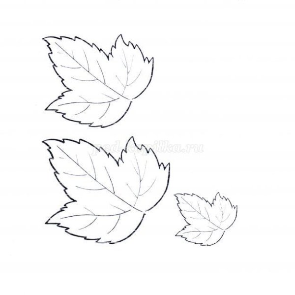 Лист калины трафарет