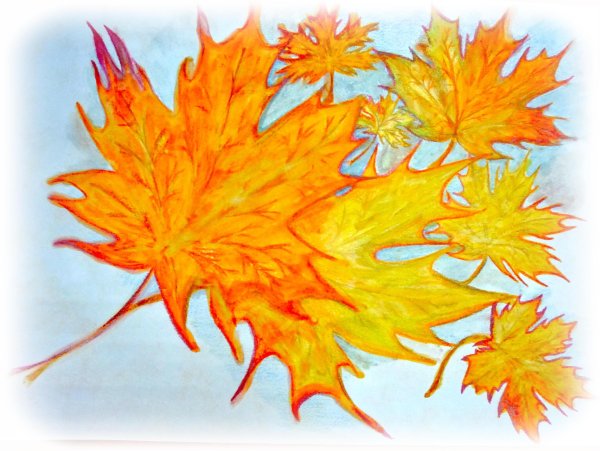 Рисунки кленовых листьев