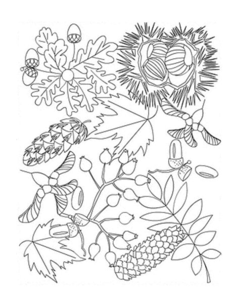 Осенняя раскраска