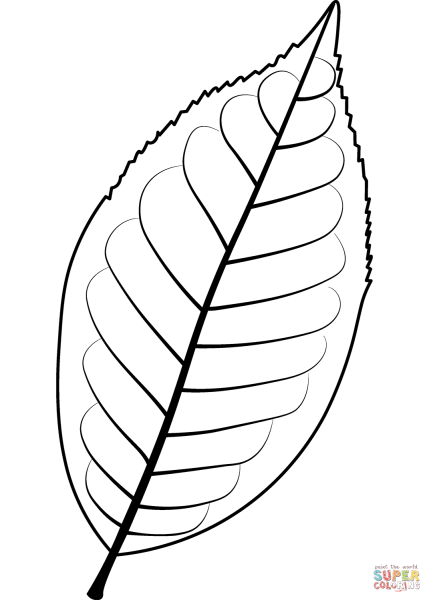 Лист вишни раскраска