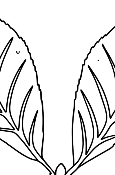 Лист вишни раскраска