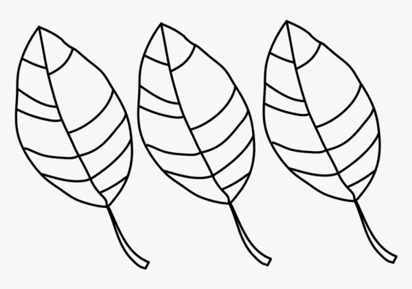 Раскраска цветок с листочками