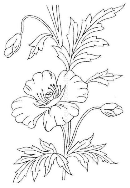 Трафареты для вышивки Мак