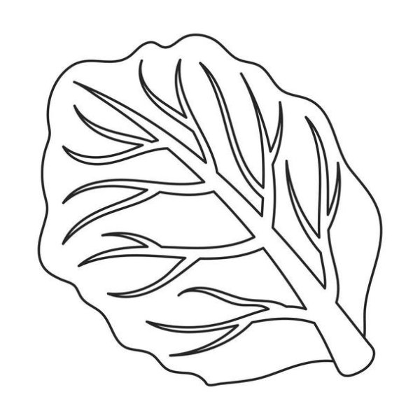 Лист капусты раскраска